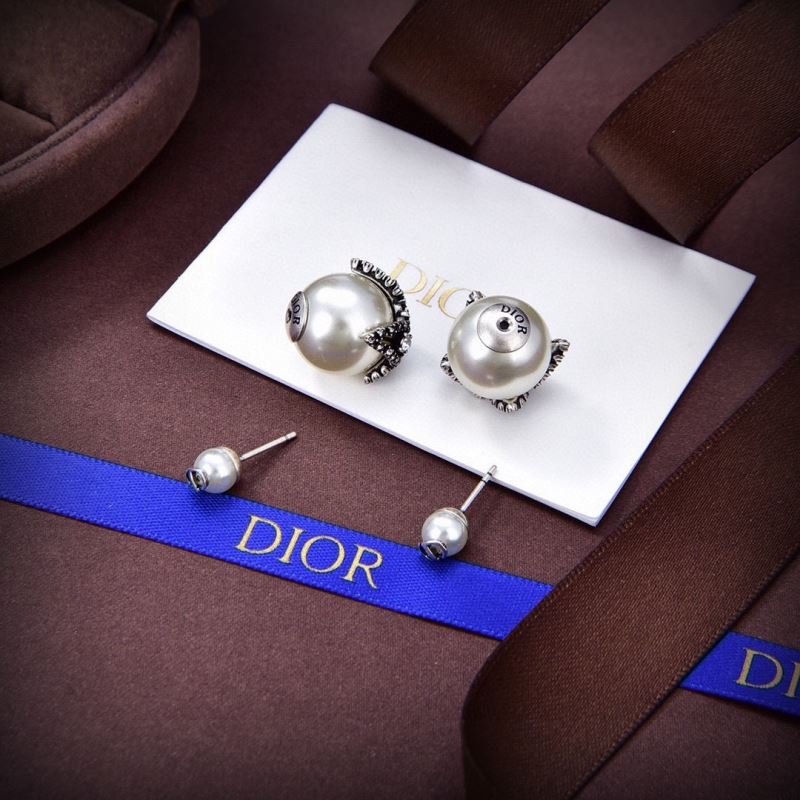 Christian Dior Earrings